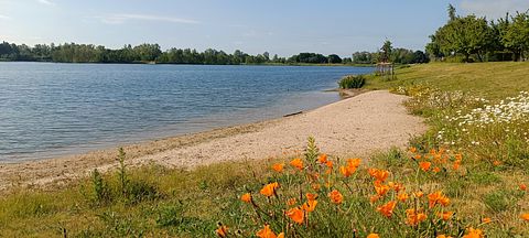 Holiday Home in a Farmhouse by the Water - 5