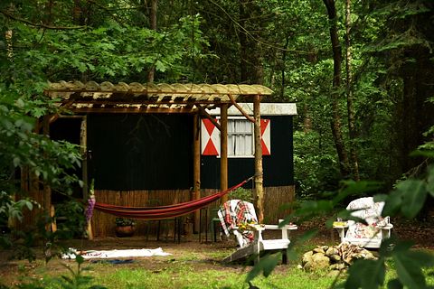 Hyggelig sigøjnervogn til naturelskeren - 2
