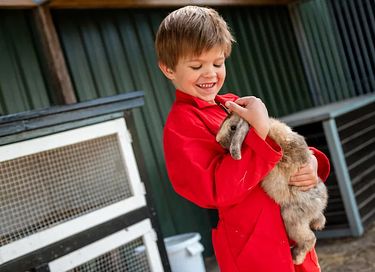 Glamping at Dairy Cattle & Calves Farm - 7