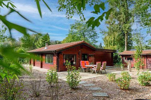 Cabane en rondins robuste avec sauna dans la forêt - 2