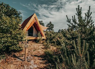 Tweepersoonstent op glamping op de Veluwe  - 10