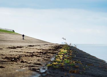 Huisje aan het Lauwersmeer met uitzicht - 25