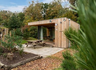 Minuscule maison confortable (2p) sur la Veluwe - 10