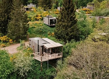 Boomhut in de Franse Elzas  - 1