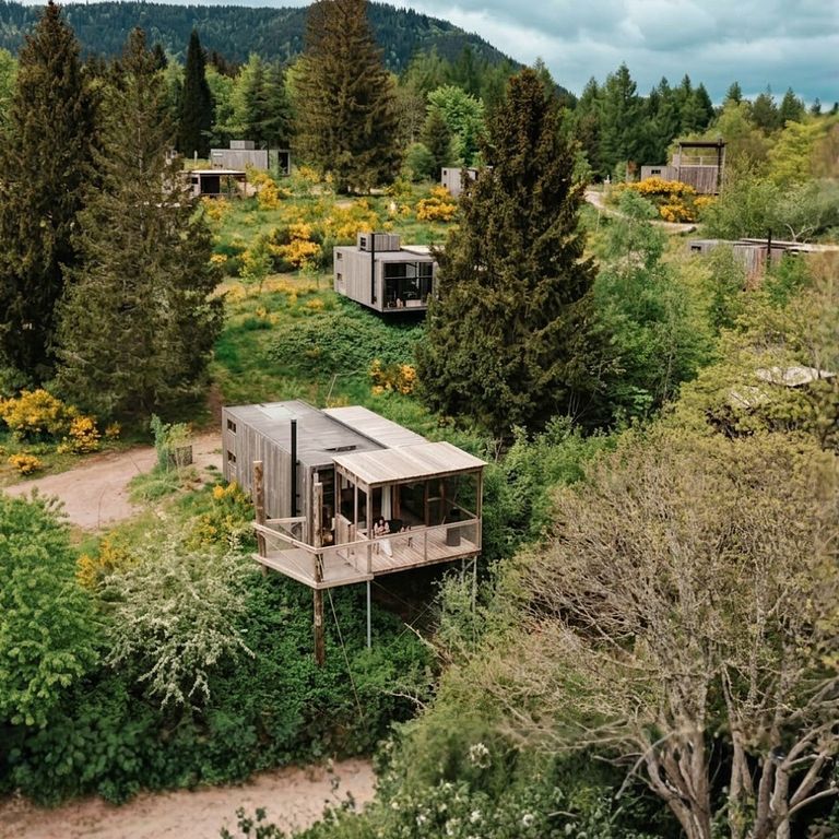 Boomhut in de Franse Elzas  - 1