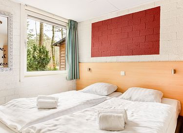 Beau bungalow familial pour 4 personnes à Veluwe - 8