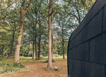 Logement de vacances à l'orée de la forêt avec espace bien-être - 3