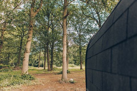 Logement de vacances à l'orée de la forêt avec espace bien-être - 3