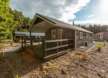 Chalet confortable avec véranda et jacuzzi dans la province de Drenthe - 2