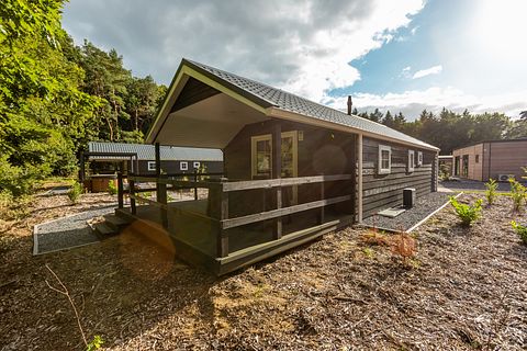 Chalet confortable avec véranda et jacuzzi dans la province de Drenthe - 2