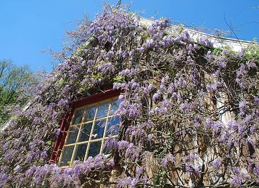 B&B dans un lieu unique - 4