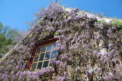B&B dans un lieu unique - 4
