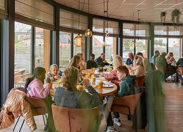 Gruppenunterkunft mit privatem Pool – Ameland - 19