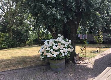 Spacious apartment in the polder of Zeeland - 30