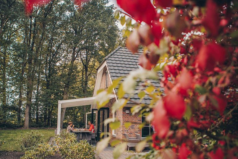 Relax in Drenthe with your own wellness - 1