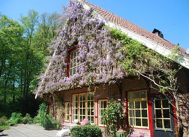 B&B dans un lieu unique - 1