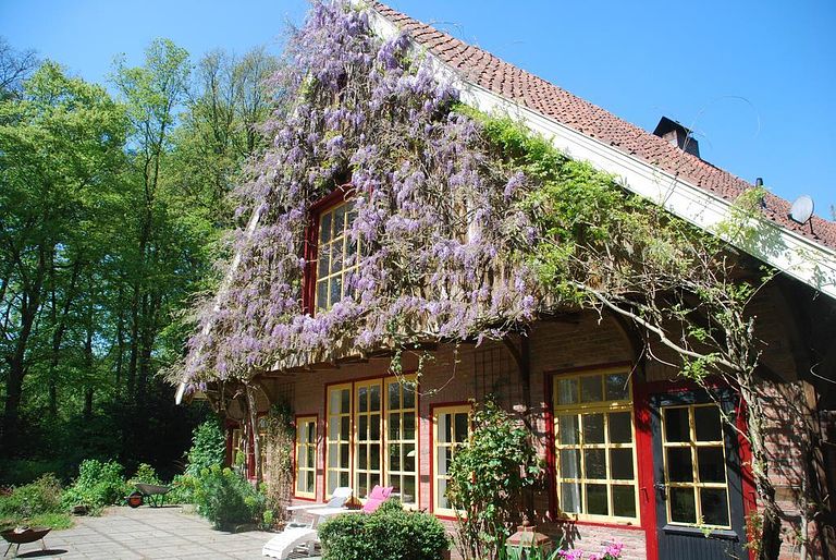 B&B dans un lieu unique - 1