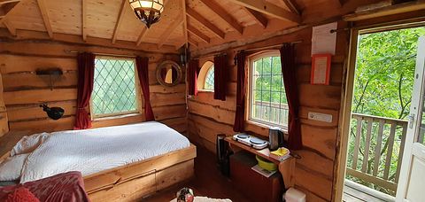 Splendide cabane à arbres en Frise - 4