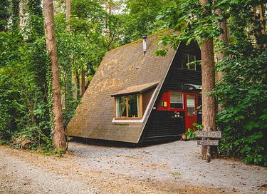Sfeervol boshuisje in de Belgische natuur - 23