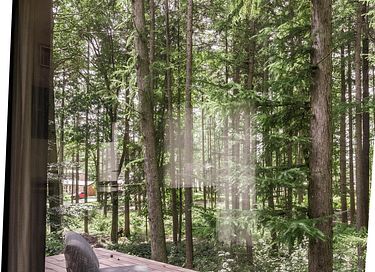 Romantic cabin at a forest edge - 7