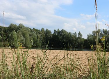 XL Zirkuswagen in Ruhe und Natur - 17