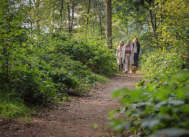4-persoons wellness vakantiehuis - 44