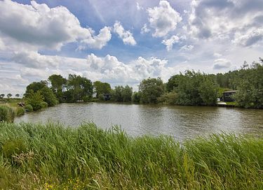 Tiny house with most beautiful hot tub in the netherlands - 31