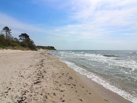 Bungalow di lusso per le vacanze a 350 metri dal mare - 4