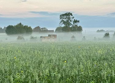 Modern tiny house op het Belgische platteland - 16