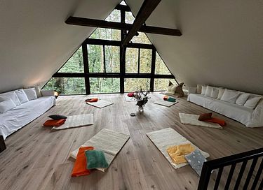 Historische watermolen in groene omgeving - 20
