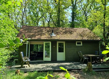 Maison dans la forêt avec sauna à Vechtdal - 17