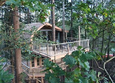 Special overnight stay in an XXL treehouse - 3