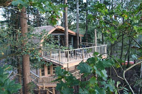 Special overnight stay in an XXL treehouse - 3