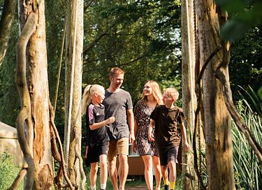 Glamping Bell tent on nice estate - 20