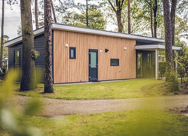 Maison de vacances de luxe pour 4 personnes à la campagne - 19