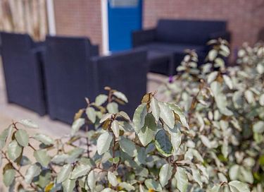 Ferienwohnung zwischen den Tulpenfeldern am Meer - 16