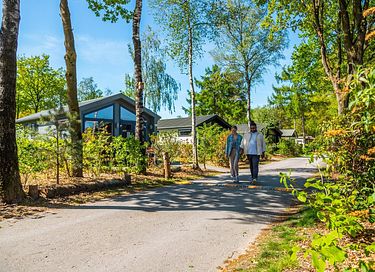 Uniek boshuisje op een leuk vakantiepark - 9