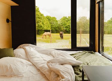 Tiny house bij een boerderij met paarden - 5