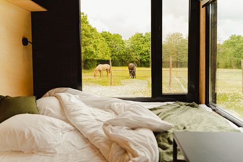 Tiny house bij een boerderij met paarden - 5