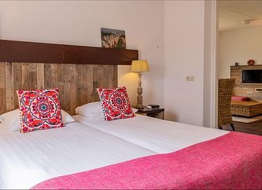 Cosy room with whirlpool on Terschelling - 7
