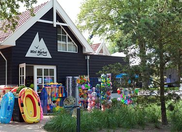 Logement de vacances unique (8p) au bord du lac Veluwe - 29