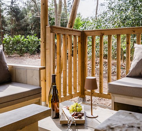 Luxury glamping lodge with private hot tub - 4