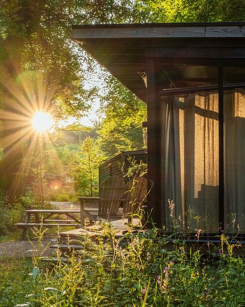 Beautiful forest cabin in small vacation park - 2