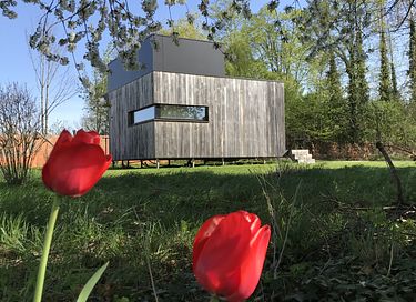 Prachtige lodge in de Belgische natuur - 3