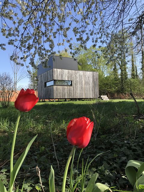 Prachtige lodge in de Belgische natuur - 3
