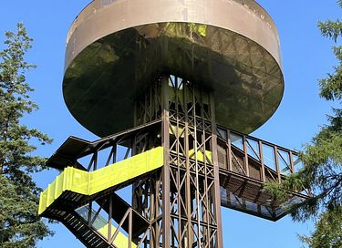 Villa en pleine forêt avec sauna et aire de jeux extérieure - 53