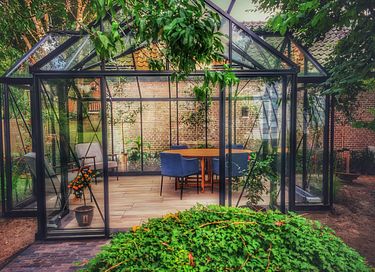 Luxury B&B in 100 year old grapevine - 17
