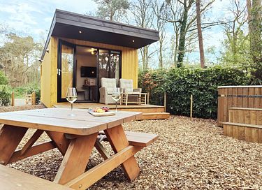 Lodge dans les bois avec bain à remous privé à Drenthe - 23