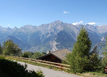 8-persoons chalet in Nendaz - 10