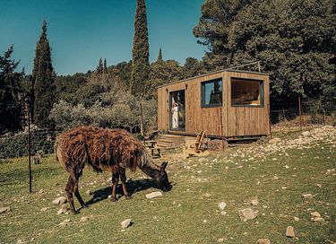 T tiny house at the foot of Mont Ventoux - 37